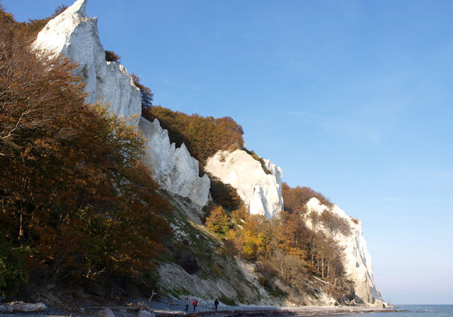 Mons Klint Kreidefelsen im Herbst auf Insel Mön in Dänemark